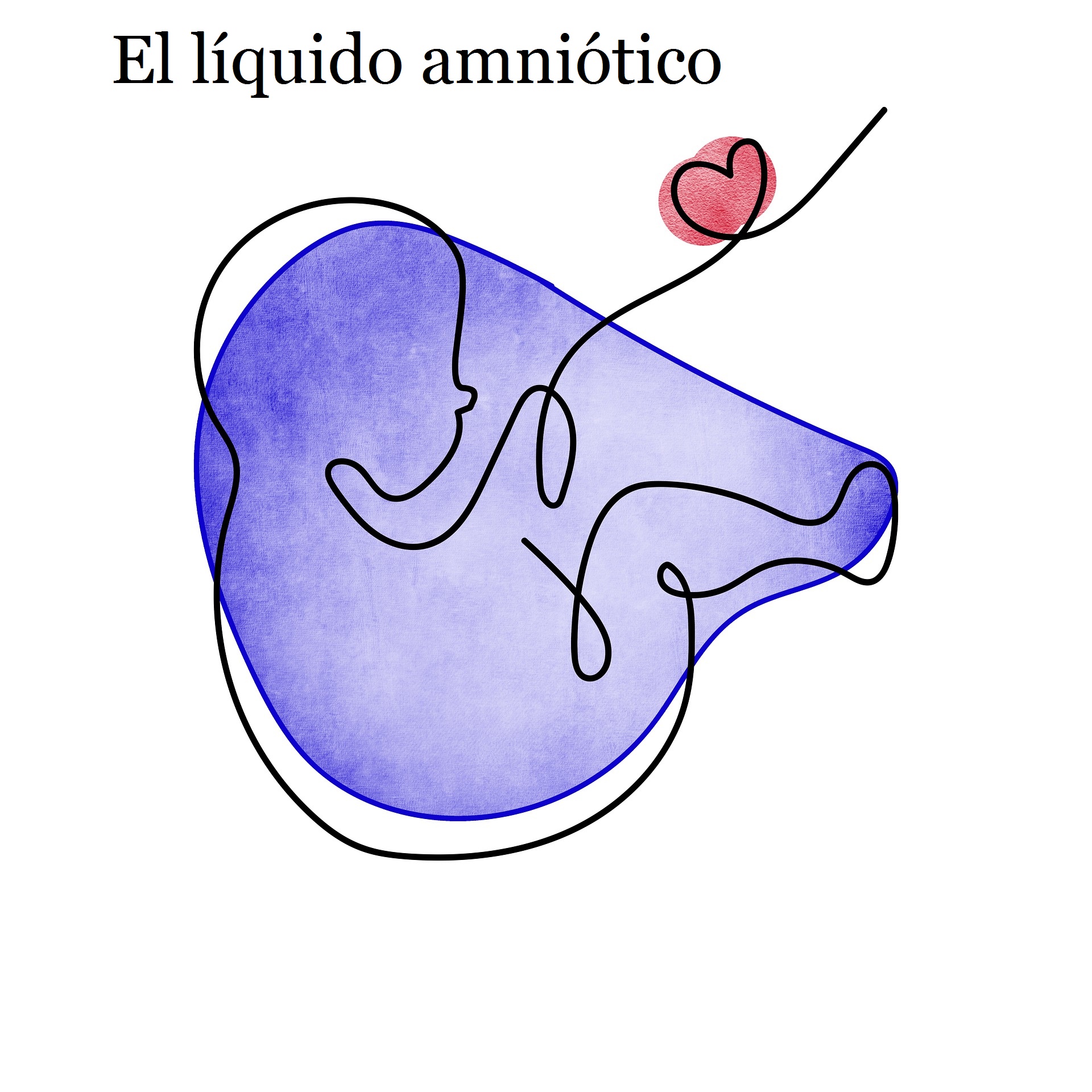 El líquido amniótico